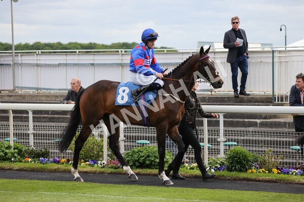 yr12052022r7-5 - Race 7 5.15pm Fidomoney Stakes