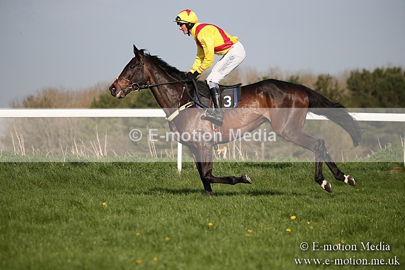 PtP 210418 557 - South & West Wilts Point-to-Point Larkhill 21/04/18
