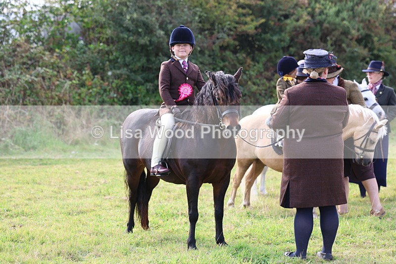 3E7A3787 - Class 2: Lead rein