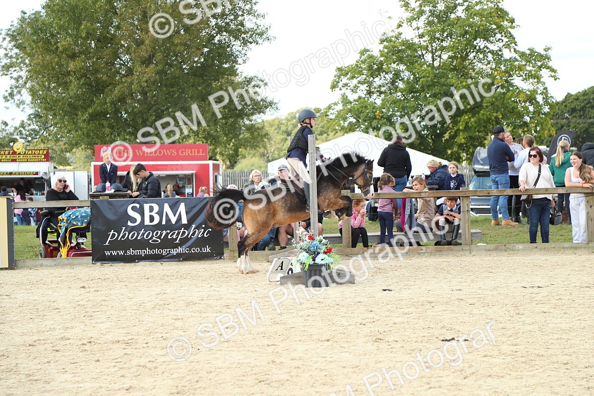 SBM_39488 - J6 - Junior Pony 55cm Championships