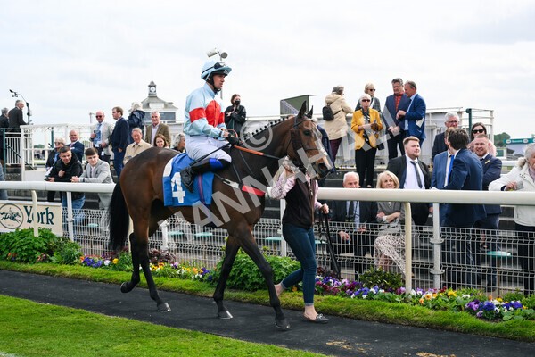 yr13052022r6-17 - Race 6 4.45pm Yorkshire Equine Practice Stakes