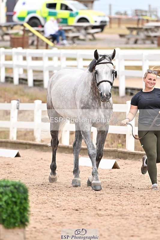 250716-153227-01989 - Trot Up 3.30 to 4.30