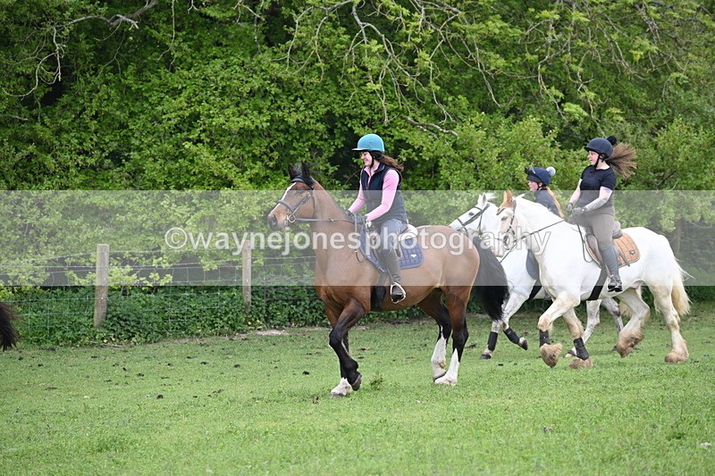 WJ6_3097 - A camera