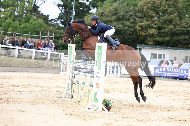 3E7A3441 - Class 9: Senior Foxhunter/1.20 open