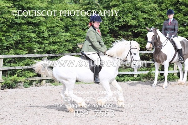 BPP_7563 - RING 1  (RIDDEN HORSES / IN HAND / VETERAN ETC)