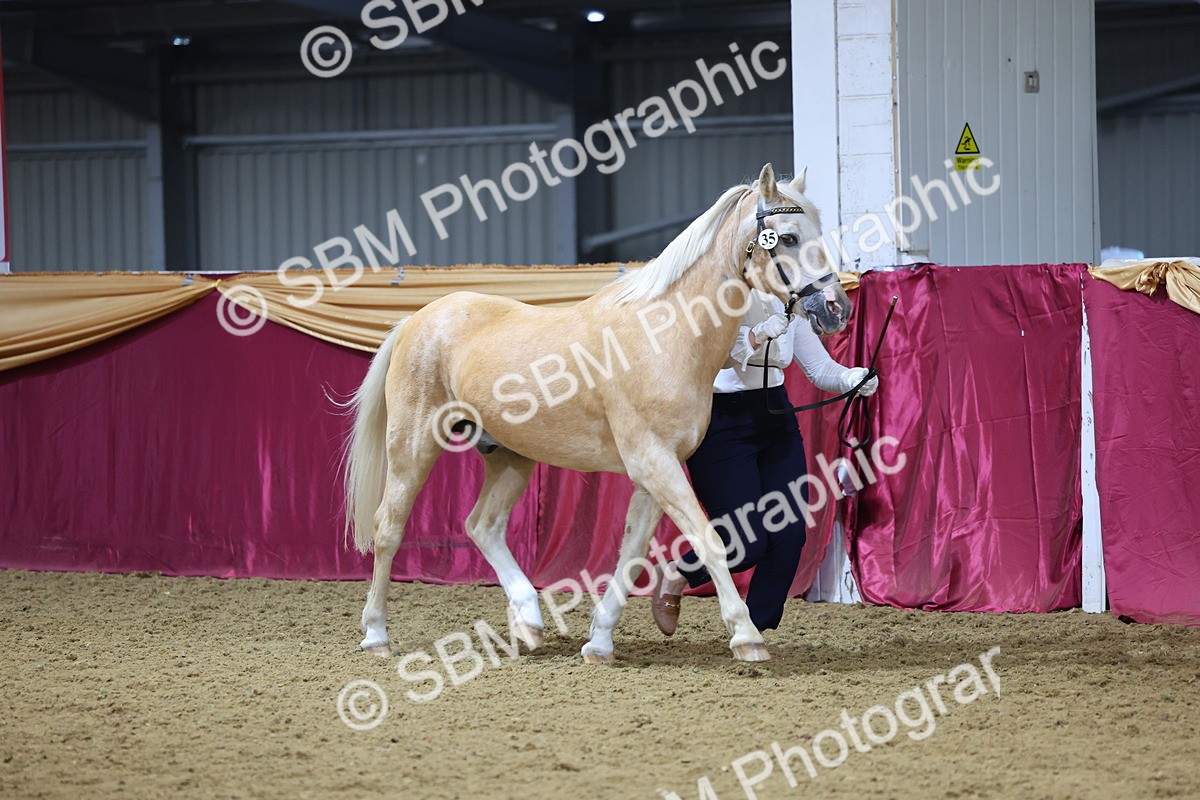 SBM_19372 - Class 901 - Supreme Final - IH Diamond