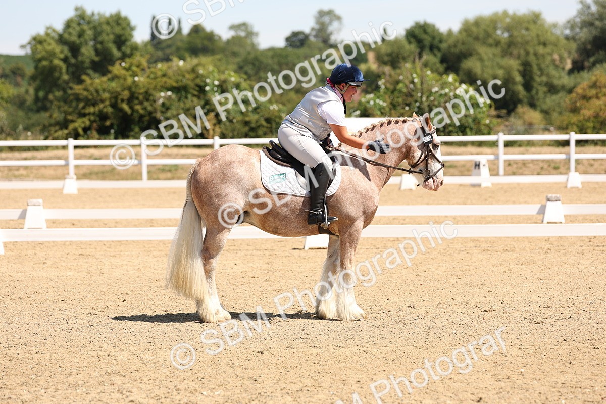 SBM_001285 - Intro 2