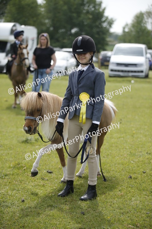 20260426-1964 - Class 8 - Prettiest Mare