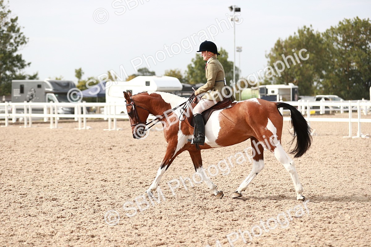SBM_17521 - Class 215 Ridden Hack/ Riding Horse