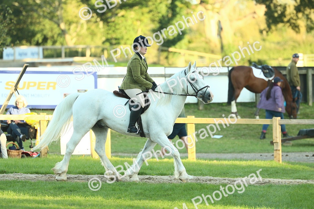SBM_55610 - S14 - Riding Club Horse