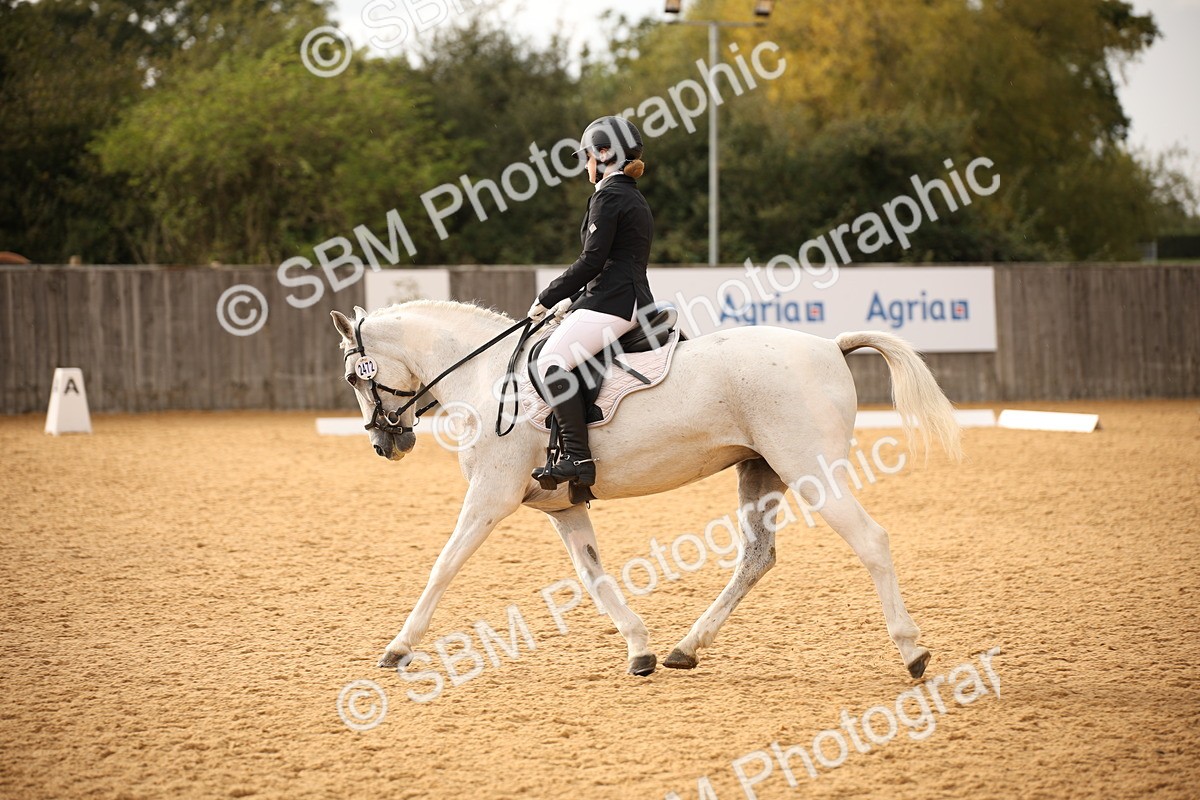 SBM_12323 - D3 Small  Tour Championship Intro A