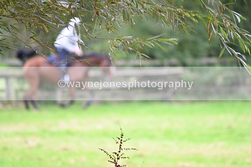 WJ6_7894 - Time at Photographer 13:49 to 14:15