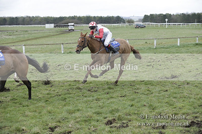 PtP 150320 0877 - New Forest Point-to-Point Larkhill 15/03/20