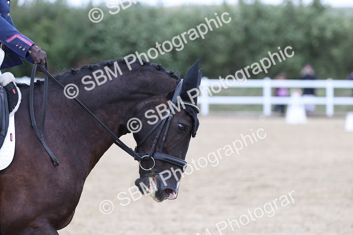 SBM_004346 - Class 9 - Novice 3 Champs