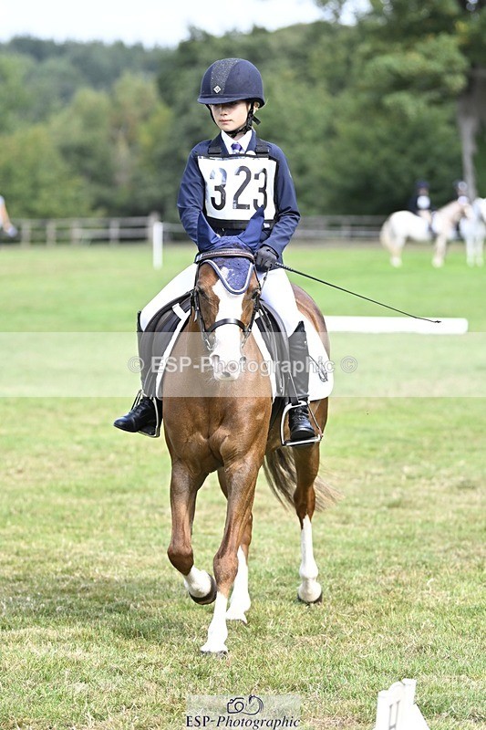 250821A-104416-14505 - DR 10.00 to 11.00