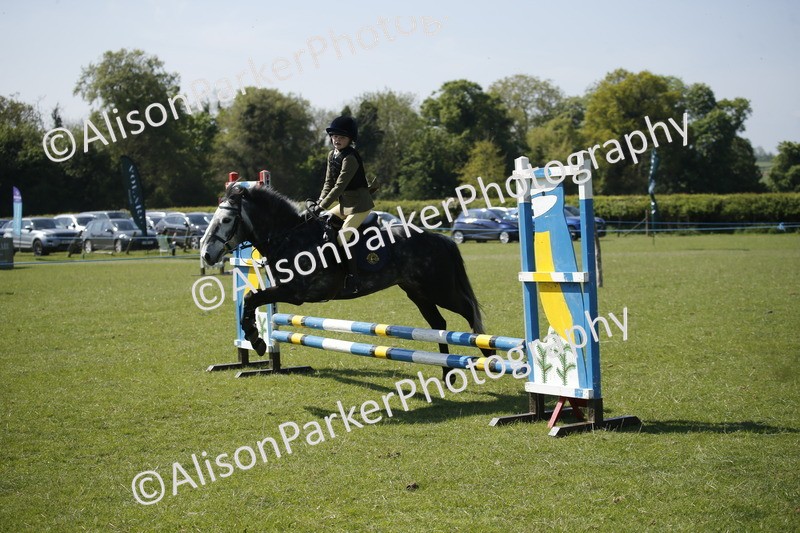 20250427-2158 - Class 13 - Novice Jumping 60cm