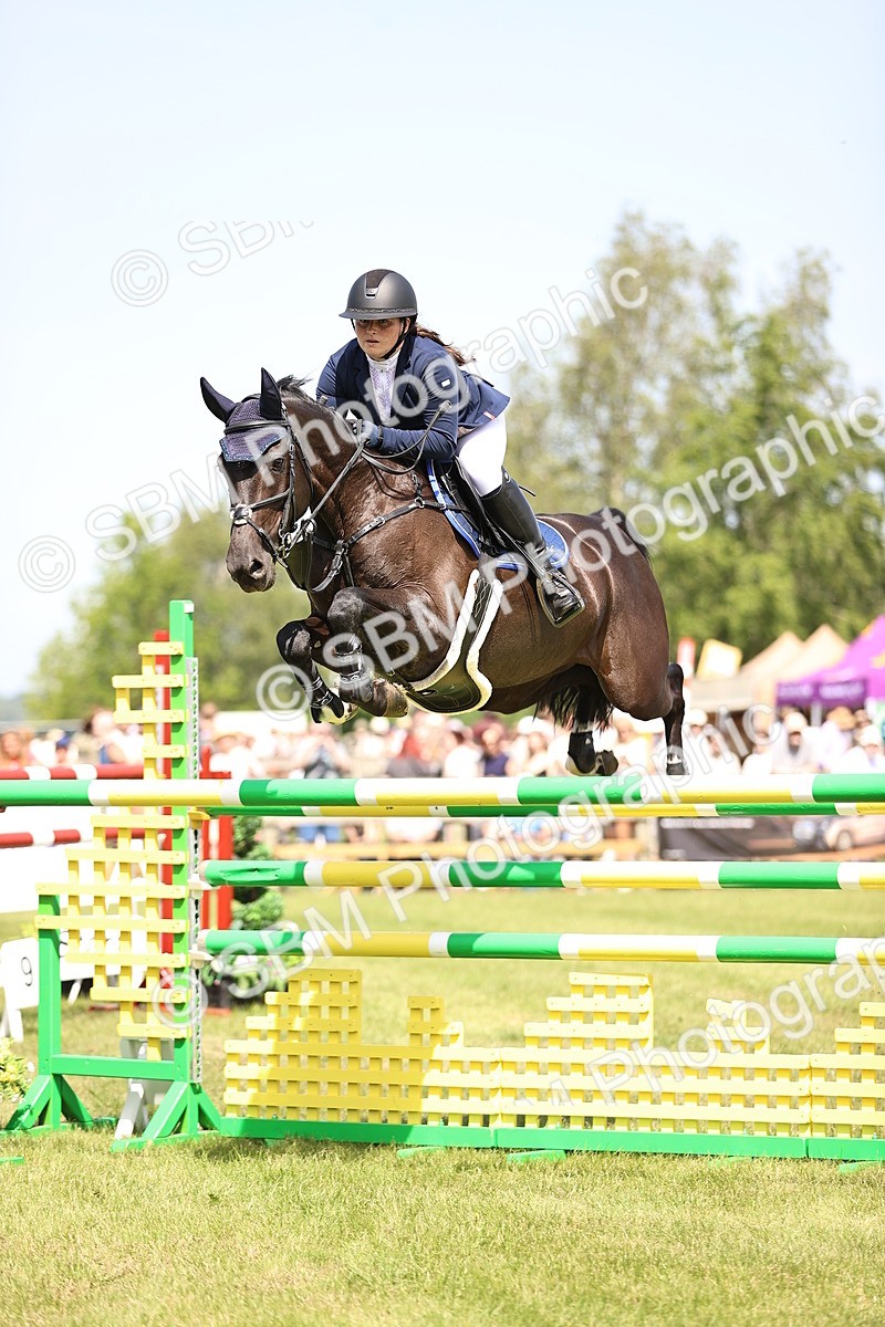 SBM_03978 - Class 201 - British Horse Feedds Speedi Beet HOYS Grade C