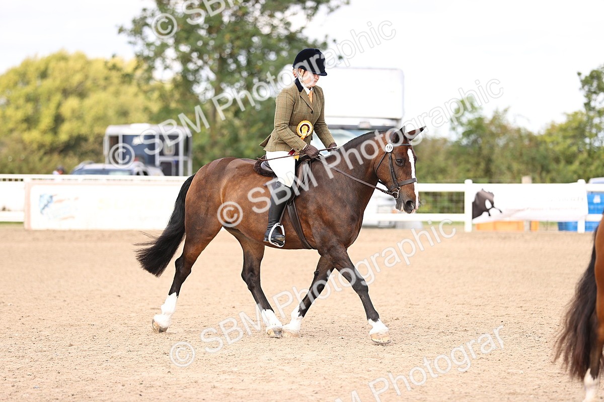 SBM_09082 - Class 403 - Grassroots Ridden - Junior
