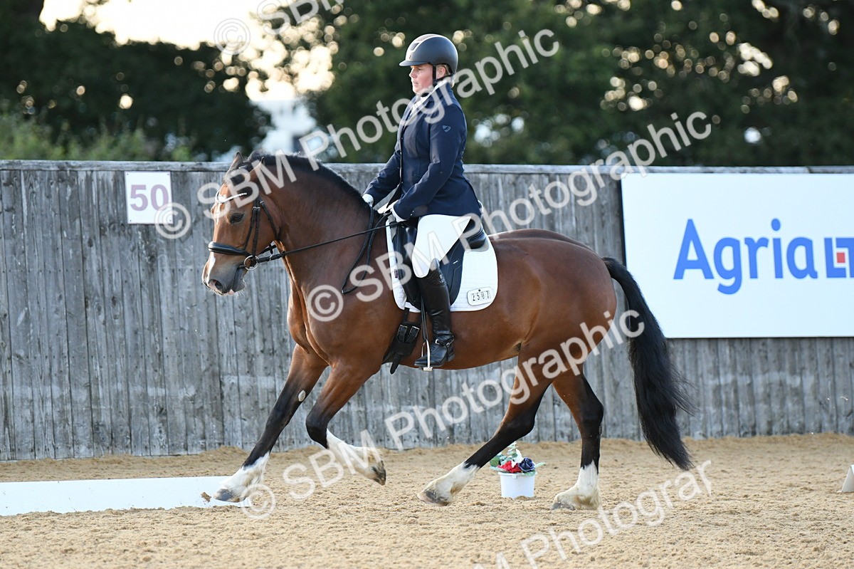 SBM_30946 - D16 - Small Tour Championship - Novice 28