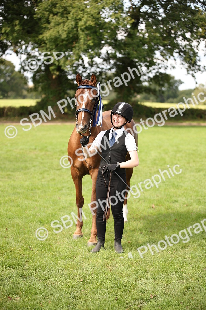 SBM_62963 - In Hand Horse Supreme Championship