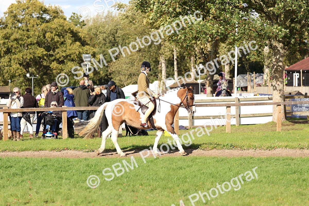 SBM_52366 - S13 - Pony Club Pony