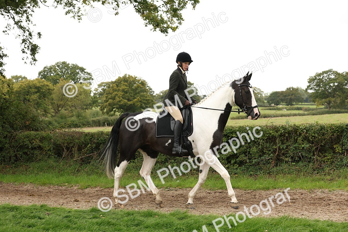 SBM_67214 - S67 - Piebald & Skewbald Horse Ridden
