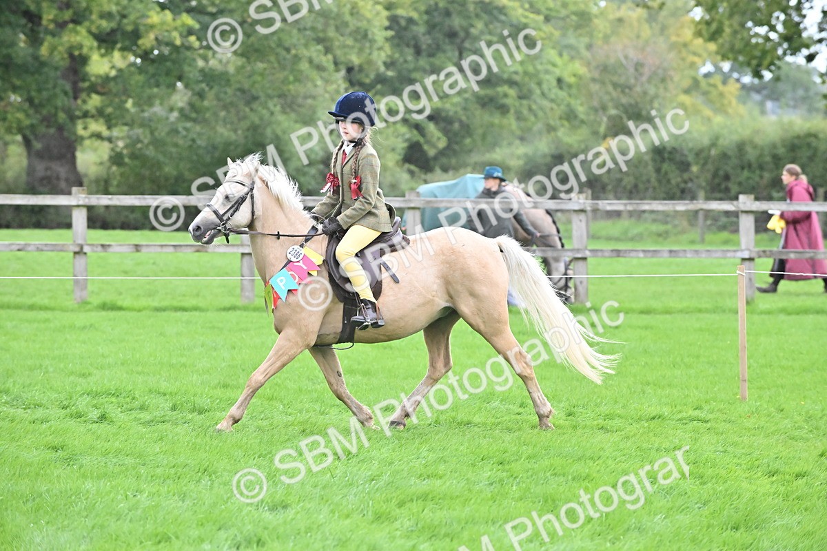 SBM_42911 - S12 - Family Horse & Pony