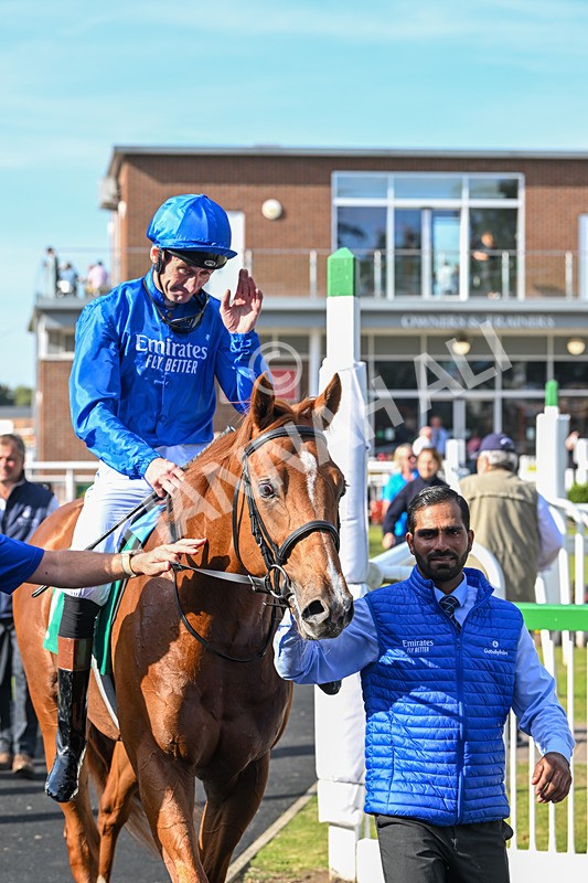 160924-Race 4-Watching Stars-2912 - Race 4