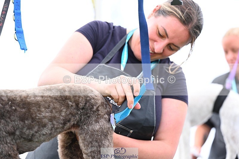 240525-114918-12638 - Candid and Saturday Hobby Horse