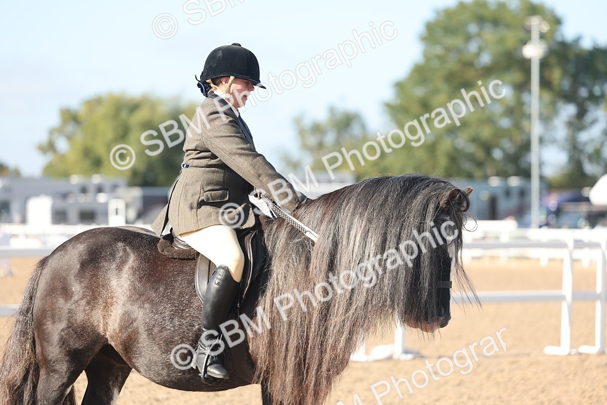 SBM_22205 - Class 802 - Ridden Groom Helpers Class