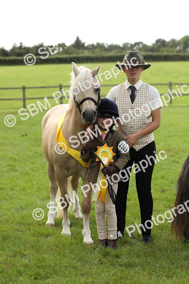 SBM_62848 - S46 - Mountain & Moorland In Hand Small Breeds