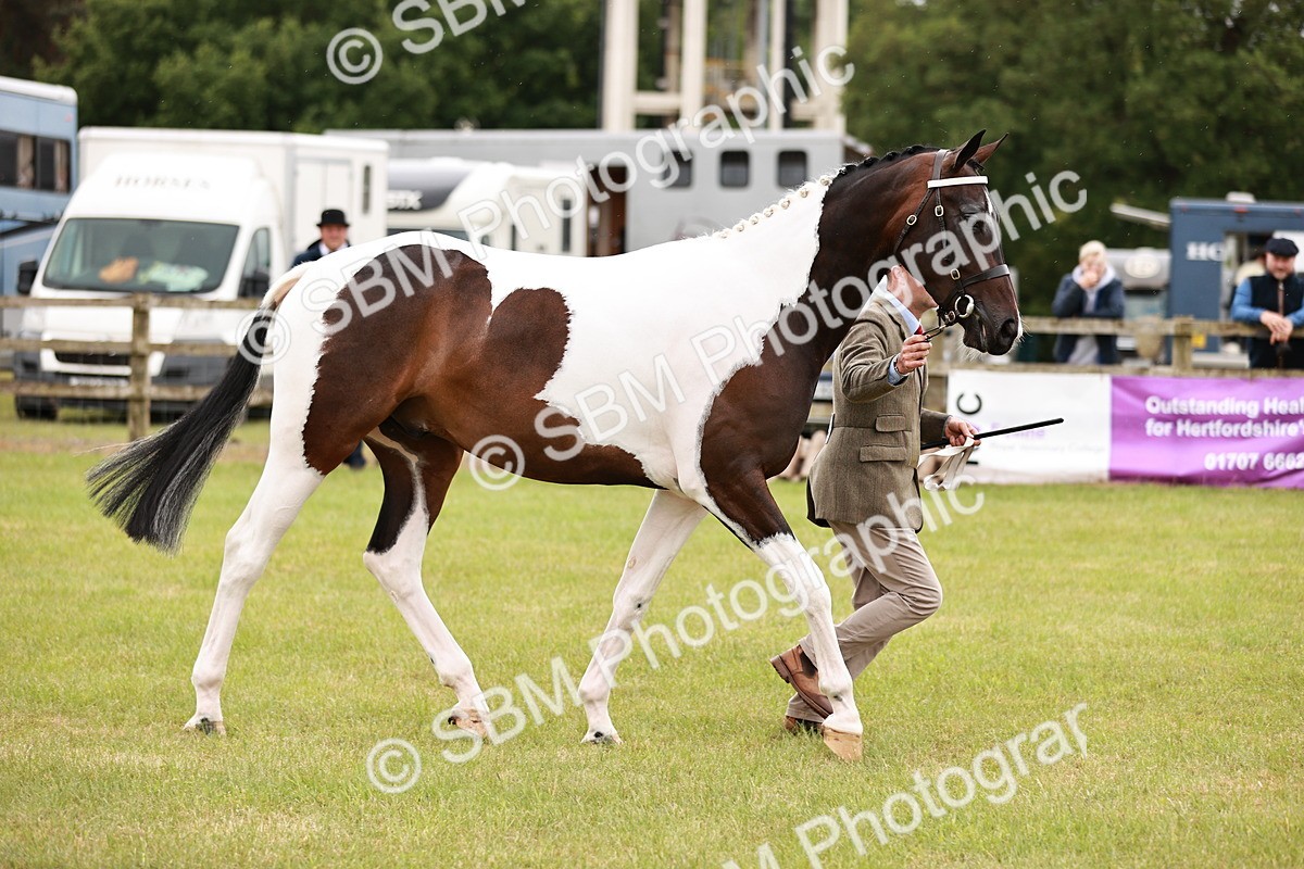 SBM_04520 - Class 5-8 - BSPA In hand