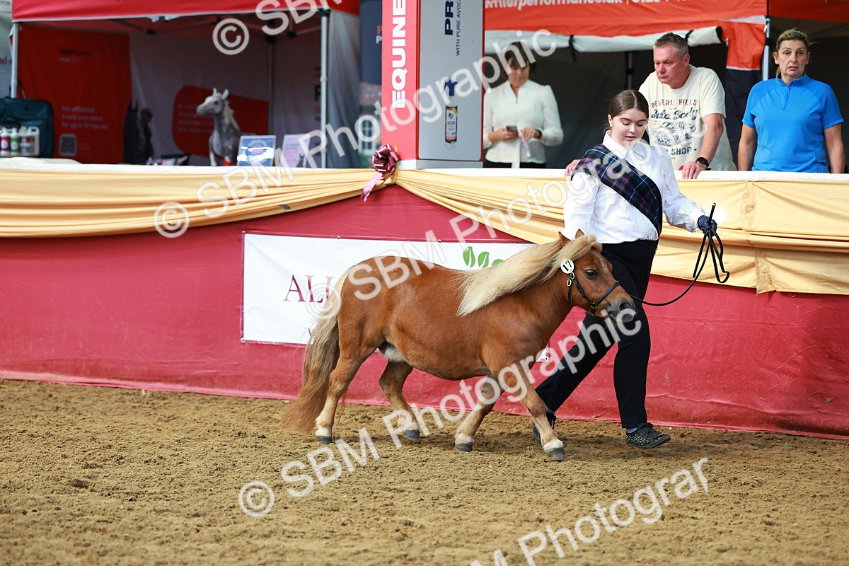 SBM_18440 - Class 903 - Sup Final - IH Pre Vet