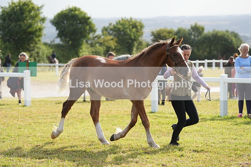 DSC04803 - Class 47: NPS M&M Yearling