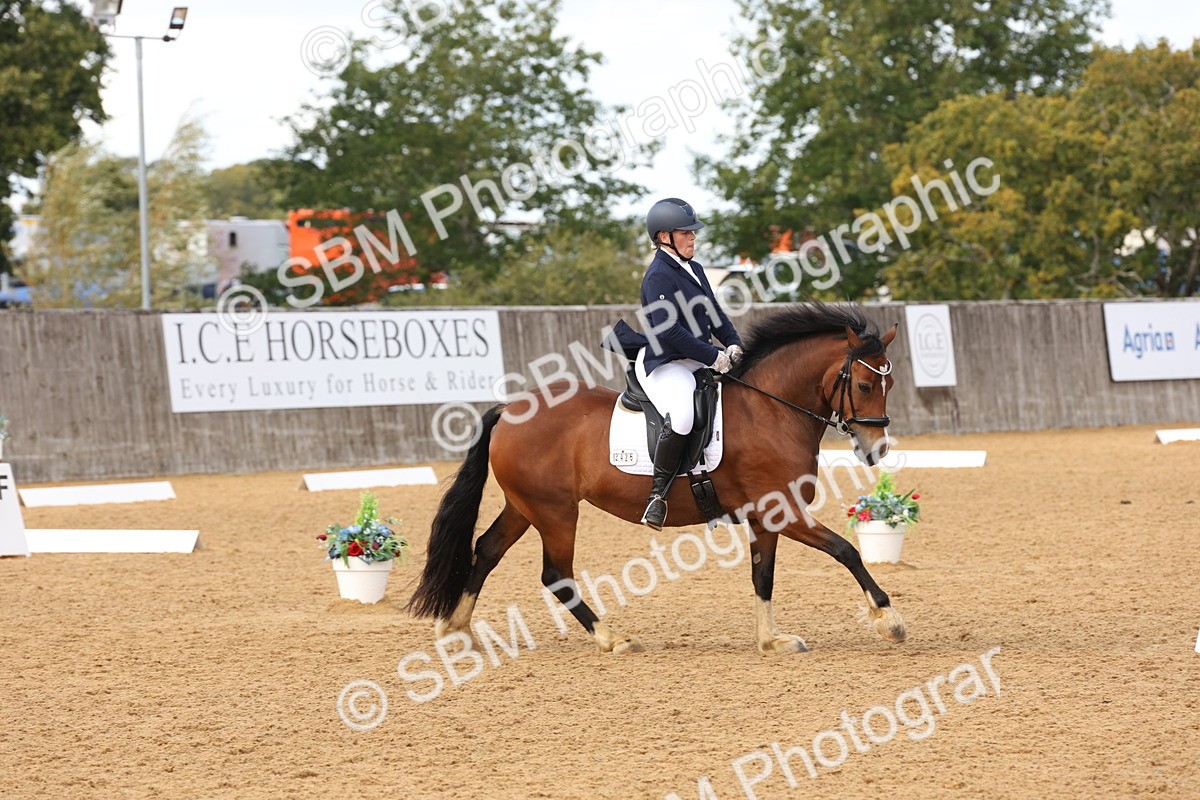 SBM_47453 - D12 - Small Tour Championship prelim 2