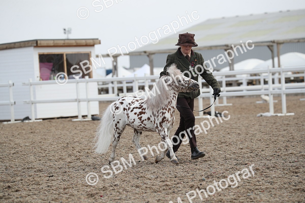 SBM_23127 - Class 605 - 2025 Area - IH Veteran