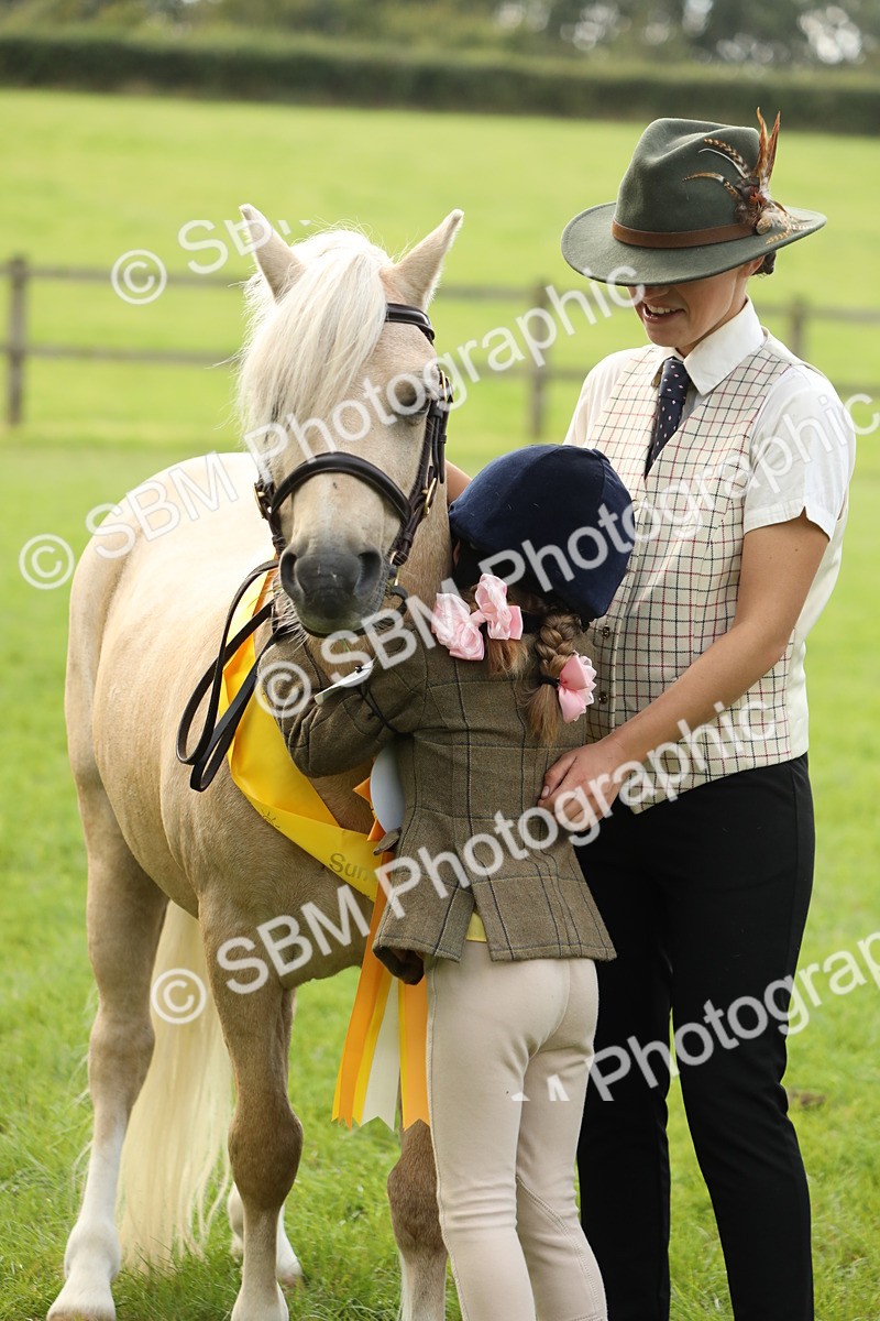 SBM_62846 - S46 - Mountain & Moorland In Hand Small Breeds