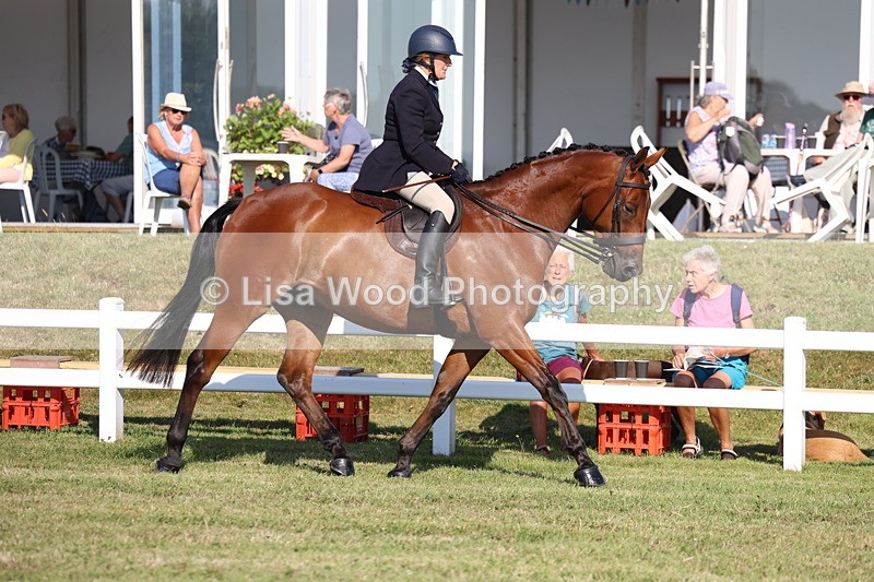 3E7A5501 - Class 2: Rising Star Large Hack/Riding Horse