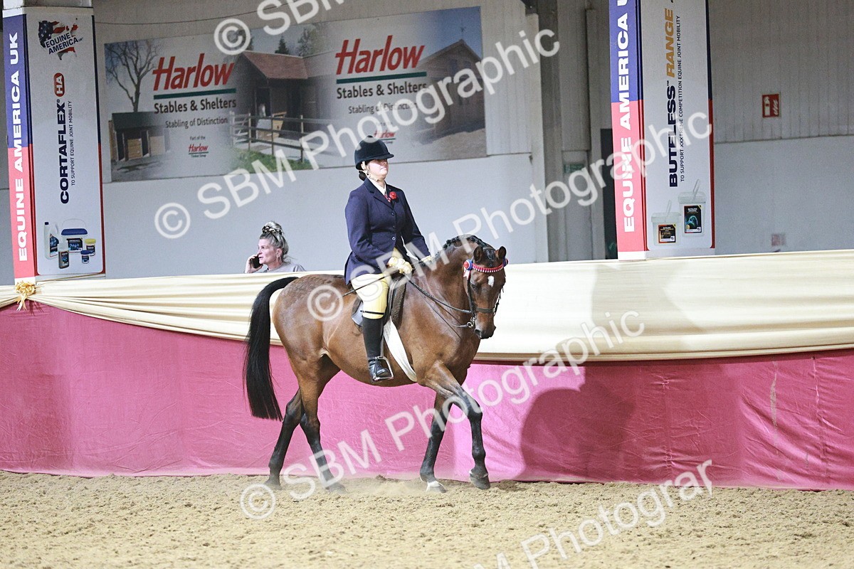 SBM_08006 - Class 11R - Regional Ridden Veteran