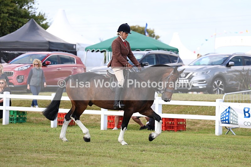 3E7A9657 - Class 5: Rising Star Lightweight/Heavyweight Cobs