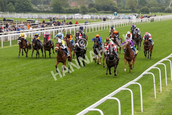 150524-Race 2-Aleezdancer-1469 - Race 2 2.45pm Churchill Tyres Handicap