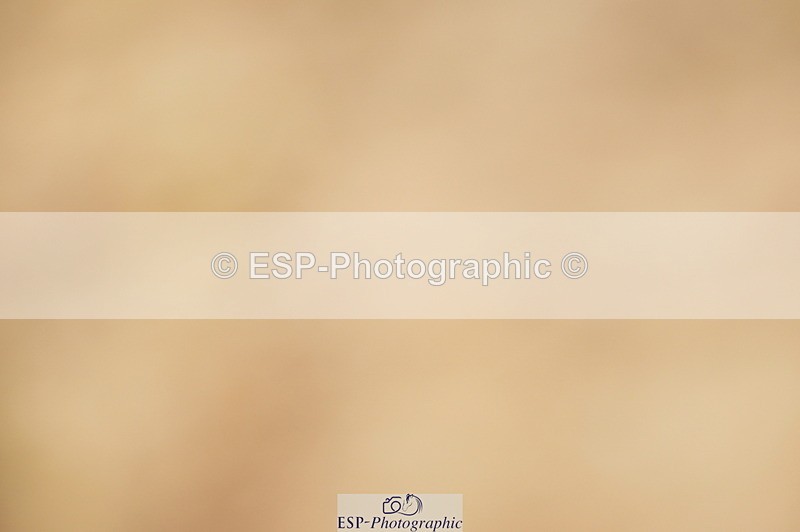 240317A-155136-07843 - Cls 29 Snr Foxhunter