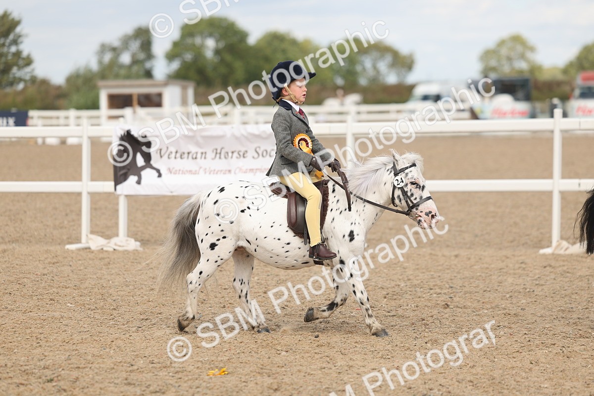 SBM_15948 - Class 310 - First Ridden Pony