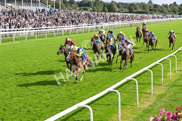 230824-Race 5-Canoodled-9739 - Race 5 4.10pm Assured Data Protection EBF Fillies' Handicap