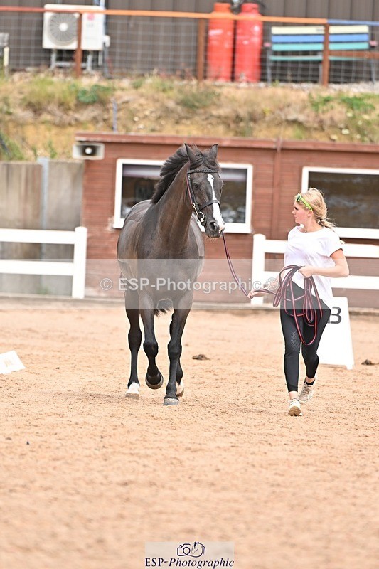 250716-153348-02012 - Trot Up 3.30 to 4.30