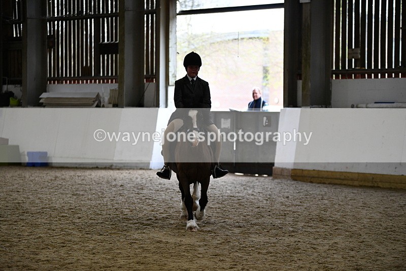 WJ5_7228 - Class 11 Ridden PC - RC Pony