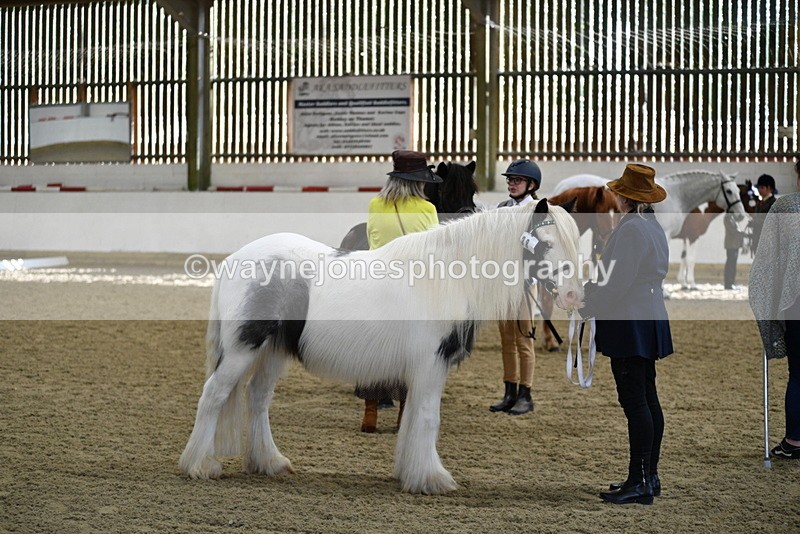 WJ5_4009 - Class 2 Best Condition In hand