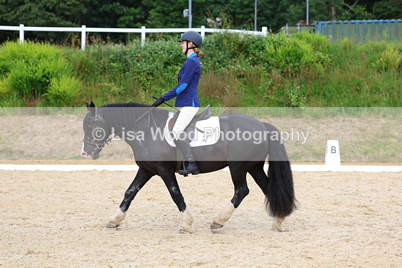 3E7A1657 - Class 2: Intro 2 2024 Section B