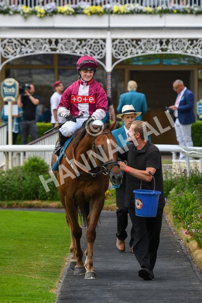 170623-Race 6-Mostawaa-0902 - Race 6 4.50pm Ice Co Supporting Macmillan Handicap