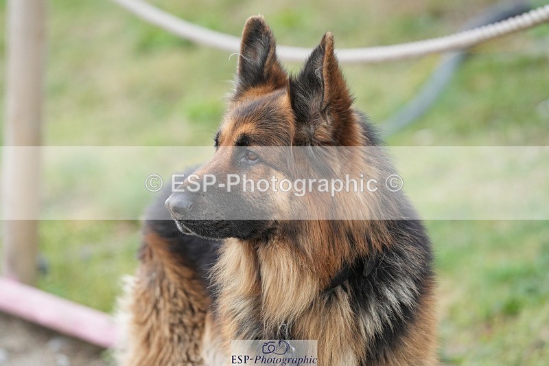 250727-142640-10754 - Cls 27 NAF Silver League Jump Off and Presentations